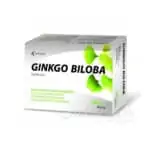 Noventis GINKGO BILOBA 1x60ks