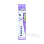Dulcamara 30CH 4g