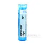 Sambucus Nigra 9CH 4g