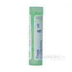 Thuya Occidentalis 5CH 4g