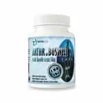 Arthr.Boswell - Boswellia serrata 350mg