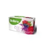 Biogena Fantastic Tea Lesné plody 20 x 2,2 g