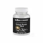 Shilajit Mumio Altai 60 kapsúl