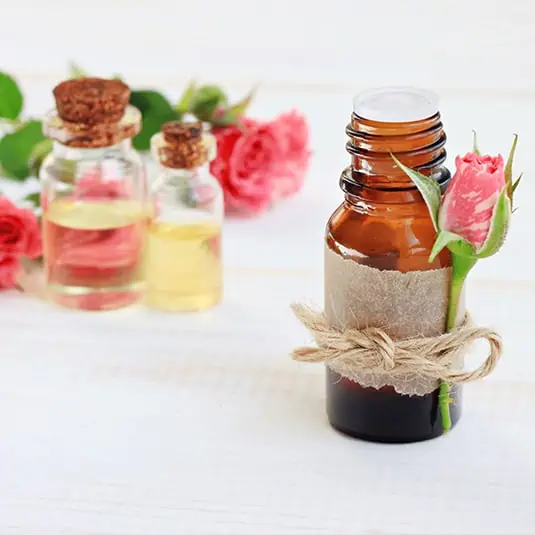 Geraniol ako hlavná účinná látka Dr.Pet
