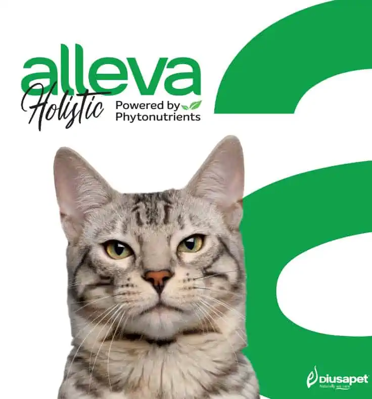 Alleva Holistic krmivá pre mačky