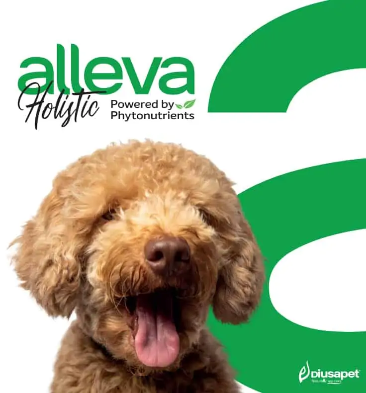 Alleva Hollistic krmivá pre psy