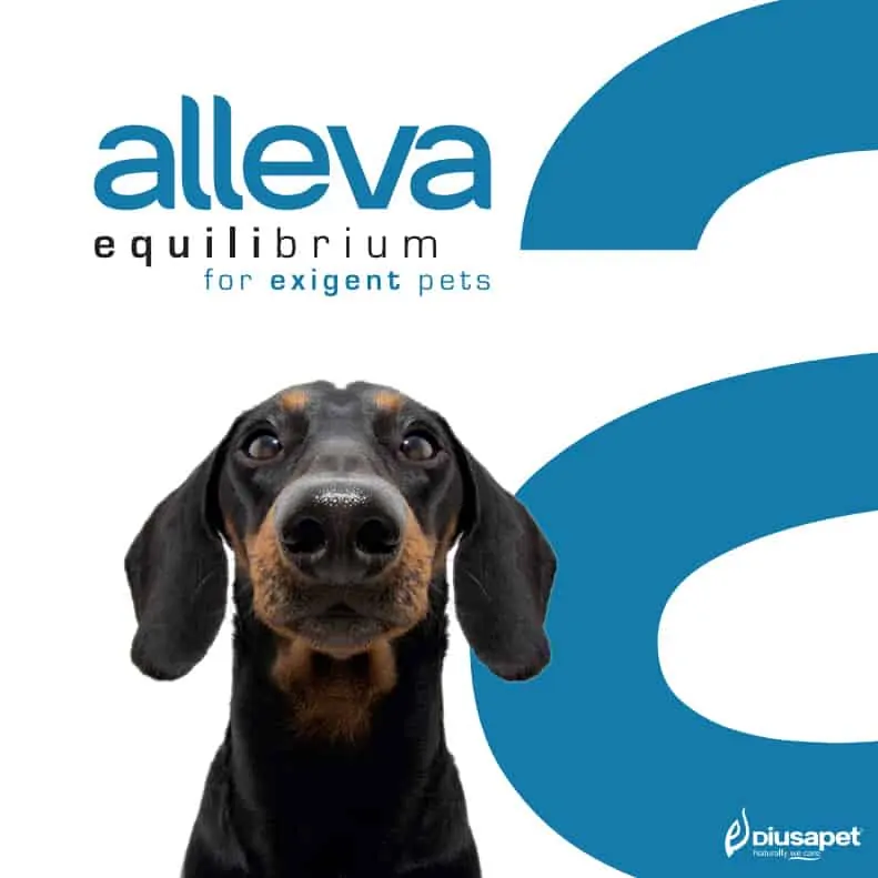 Alleva SP Equilibrium krmivá pre psy
