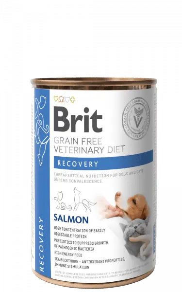 Brit Veterinary Diets GF cat + dog Recovery