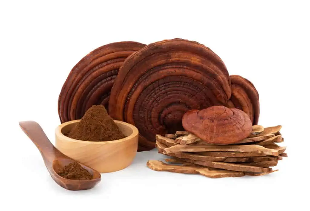 doplnky výživy s hubou reishi