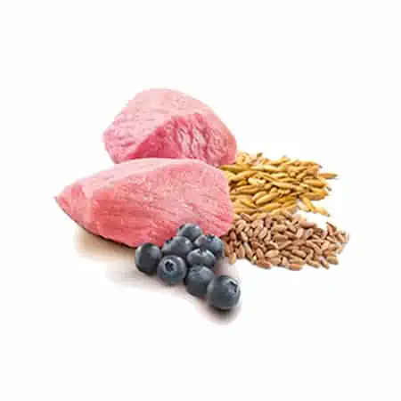 lamb, spelt, oats & blueberry