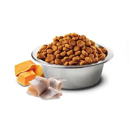 pumpkin, herring & orange
