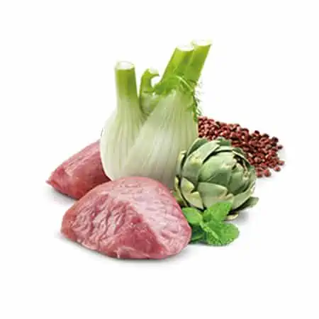 quinoa digestion lamb