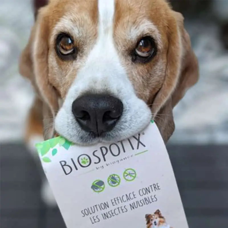 Dôveryhodná voľba od Biogance - Biospotix