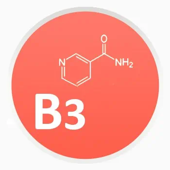 Vitamín B3 - Niacín