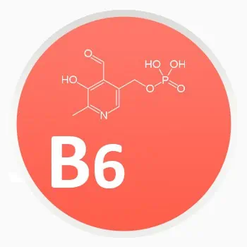 Vitamín B6 - Pyridoxín