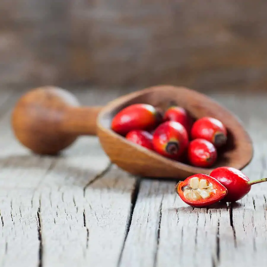 Šípky poskytujú veľké množstvo vitamínu C