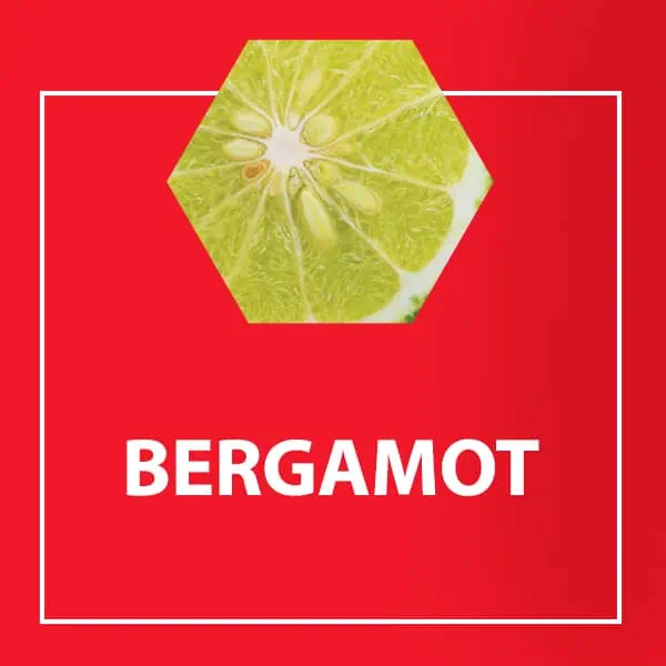 Zloženie tabliet Arterin Cholesterol - Bergamot