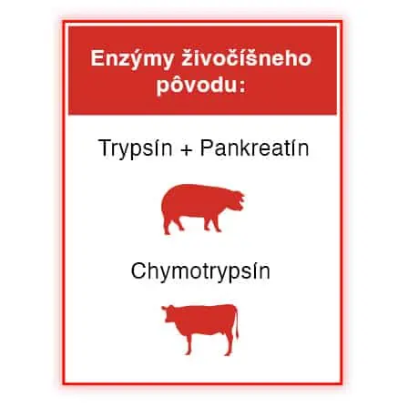 Enzýmy živočíšneho pôvodu v lieku Wobenzym