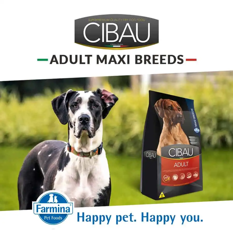 Farmina MO SP CIBAU dog adult maxi chicken pre psy veľkých plemien