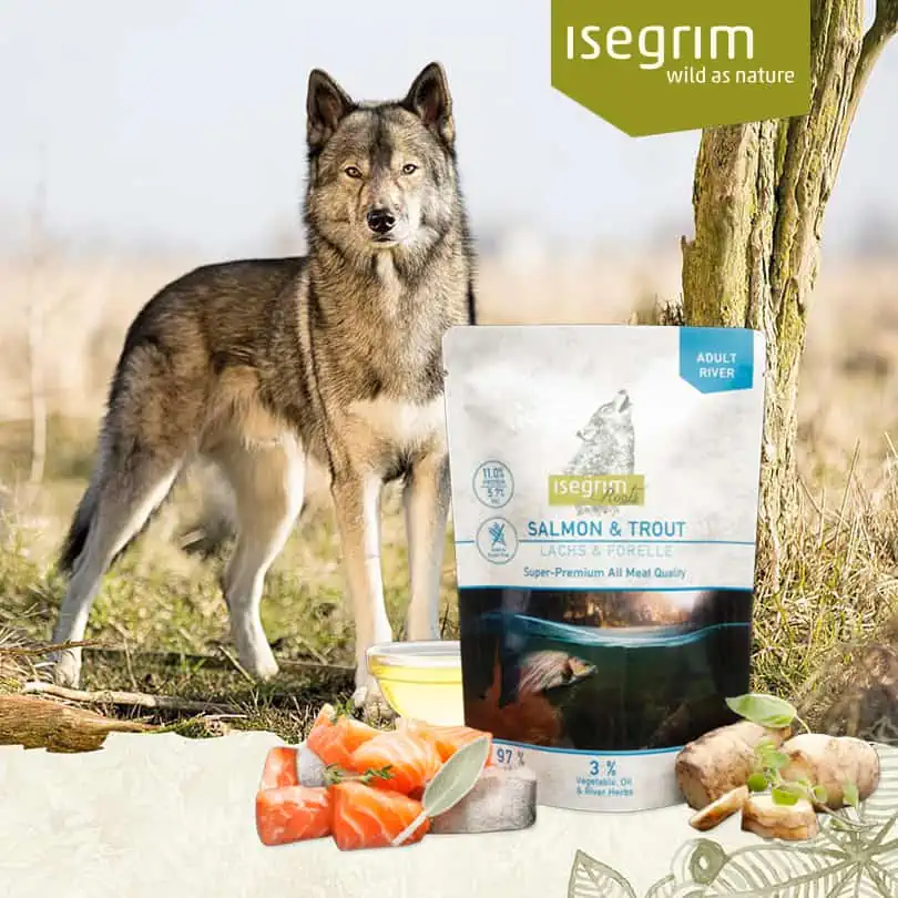 Isegrim Dog Adult Salmon & Trout kapsička pre psy a jej zloženie