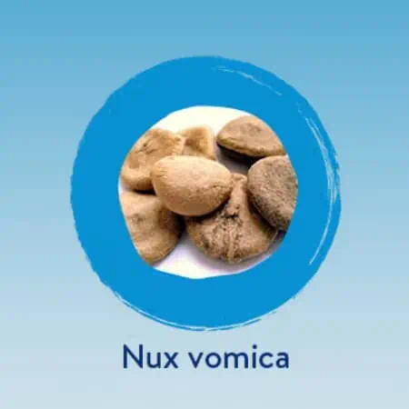 Nux vomica 4 CH