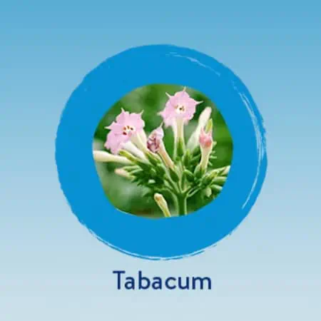 Tabacum 4CH